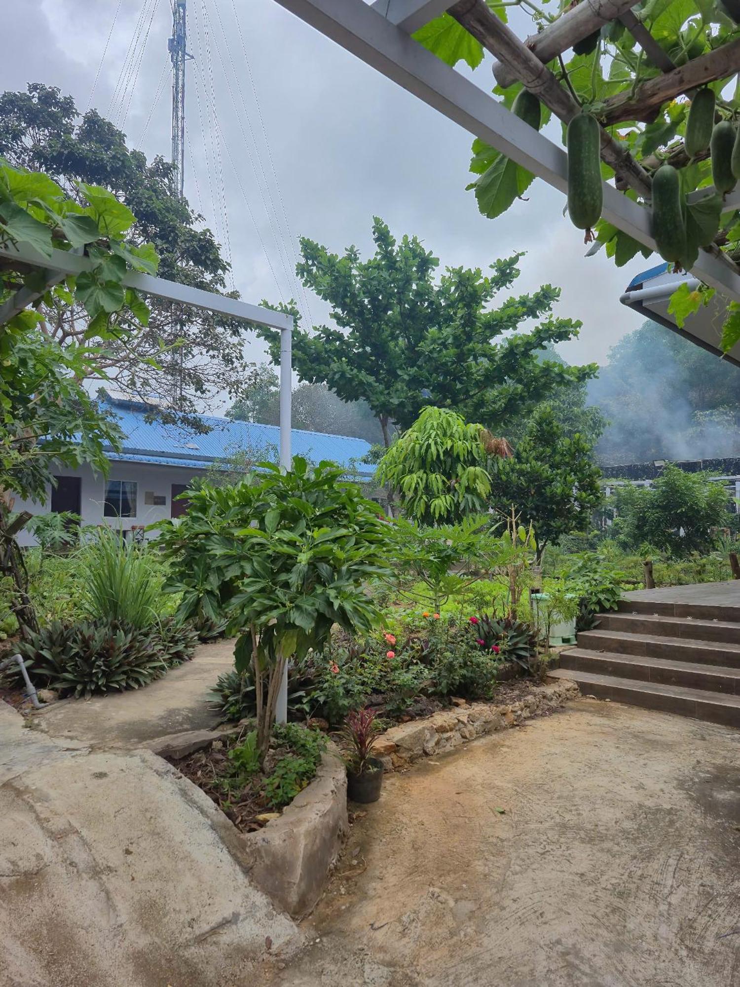 Bungalow Hotel Chi Khu Co Ong Exterior photo